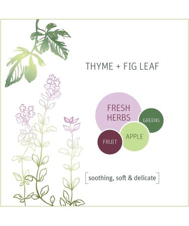Grab Green Dishwashing Pods - 24 Count, Thyme Fig Leaf Scent, Plant-Based Grease Removal - Buy Online on GoSupps.com