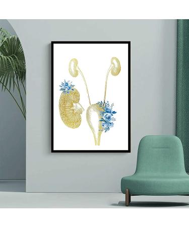 Medical Educational Poster: Urinary System & Tract Nephrology Floral Art - Golden Black 12x18 Inch Modern Canvas Wall Art - Buy Online on GoSupps.com
