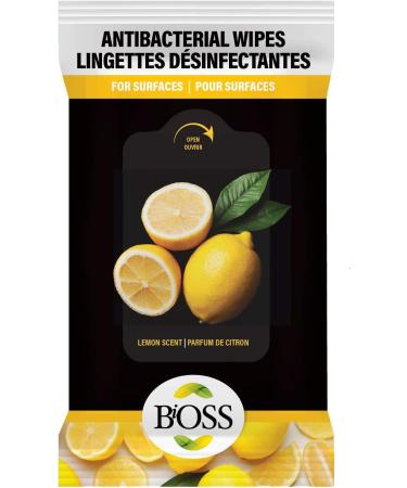 Disinfectant Surfaces Wipes 10PC Pack X 10 (10 Pack) - 100 Total Individual Wipes - Buy Online on GoSupps.com