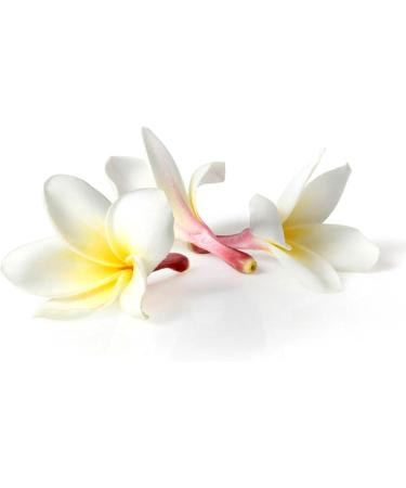 Rose Thai Aroma Oil - 100ml - Premium Massage Oil with Authentic Thailand Scent - Natural Rose Oil for Relaxation - Buy Online on GoSupps.com