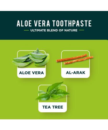  Dabur Dabur Organic Aloe Vera Toothpaste - Helps prevent cavities - Made with plant extracts - 100g - Buy Online on GoSupps.com