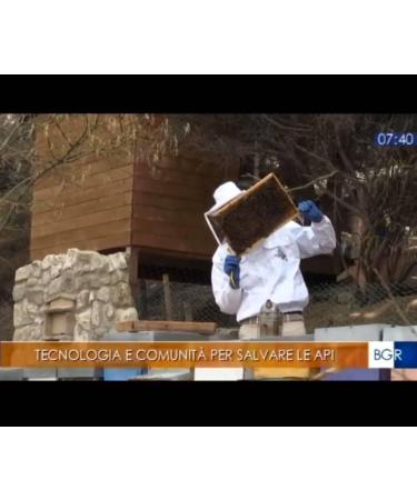  Apicoltura Il Riccio Pure Italian Bee Pollen from Marchigiano Territory - Strengthens Your Immune System with the Best Plant Source of Protein and Amino Acids - 100g - Buy Online on GoSupps.com