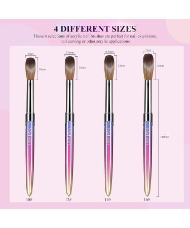 Saviland Acrylic Nail Brush Set - 4 Pcs Multicolored Acrylic & Gel Brushes (Size 10/12/14/16) for Nail Art - Perfect Gift for Women - Buy Online on GoSupps.com