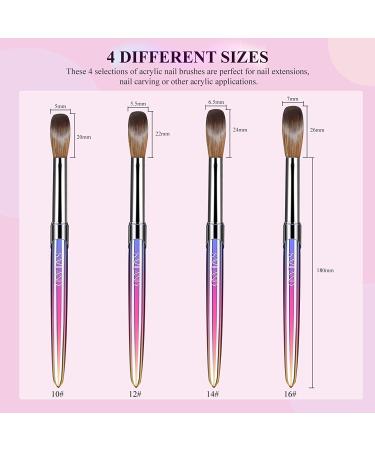 Saviland 4pcs Kolinsky Acrylic Nail Brush Set - Sizes 10/12/14/16 for Acrylic Application | Nail Extension & Carving | Manicure Brushes for Salon & DIY - Buy Online on GoSupps.com