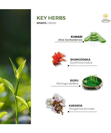 Kerala Ayurveda Myaxyl Cream - Soothing Relief for Stiff Joints | Improve Flexibility & Circulation | 0.70 Oz - International Shipping Available - Buy Online on GoSupps.com