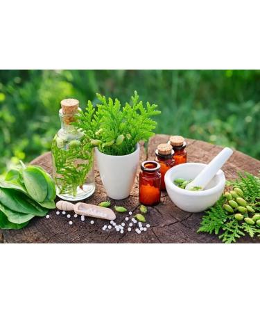 Sandalwood's Organics Healing Salve - Natural Calendula Ointment for Baby | Diaper Rash, Minor Burn, Chafing Relief | Moisturizing Balm with Marigold, Lavender, Coconut Oil, Beeswax - Yellow - Buy Online on GoSupps.com