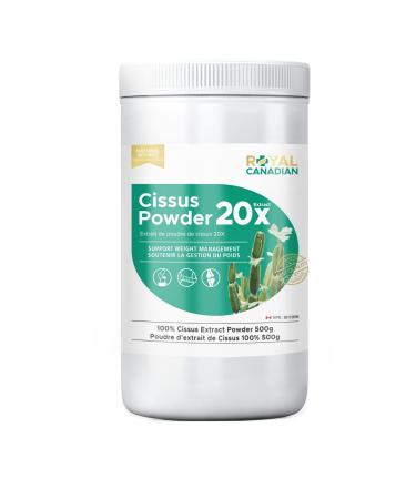 100% Cissus Powder 20X Extract Cissus Quadrangularis Appetite Control Enhanced Recovery Weight Loss Support by Royal Canadian 500g Unflavored 500 g (Pack of 1)