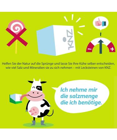 Buy KNZ 10kg Fertility Salt Lickstones - Mineral Lickstone Blocks for Optimal Animal Health | 20kg Bundle Available - Buy Online on GoSupps.com