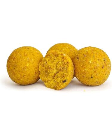 Tandem Baits Euro Boilies for Carp Fishing 16-22 mm 1-10 kg - Buy Online on GoSupps.com