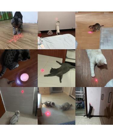 USB Rechargeable Red Laser Pointer Cat Toy for Interactive Indoor Play - Buy Online on GoSupps.com