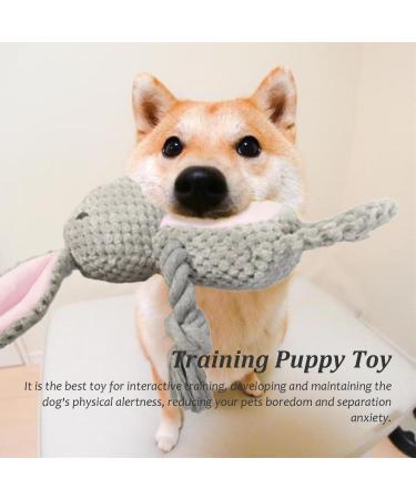 Yuremeey Plush Dog Toys - Cuddly Squeaky Tug Toy for Small & Medium Dogs & Rabbits | Interactive Wrinkle Paper Design | International Shipping Available - Buy Online on GoSupps.com