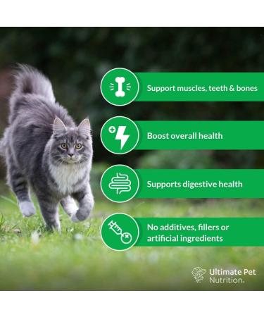 Ultimate Pet Nutrition Nutra Thrive Cat 40-in-1 Nutritional Supplement - 30 Servings - Buy Online on GoSupps.com