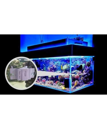 Aqua Jazz AquaJazzView10 1080P WiFi Camera - Indoor Pet Cam, Aquarium & Reef Monitor - Wireless IP Hidden Spy Camera - White - Buy Online on GoSupps.com
