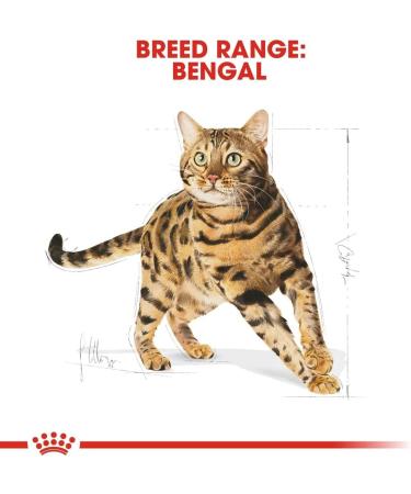 Royal Canin Bengal Cat Food 10 kg - Buy Online on GoSupps.com