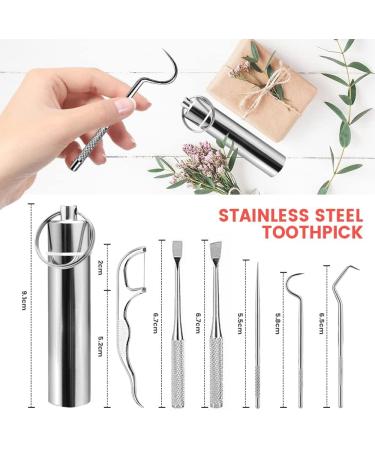 6-Piece Toothpick Tartar Remover Set - Portable Metal Dental Care Kit for Travel Camping & Picnics - Buy Online on GoSupps.com