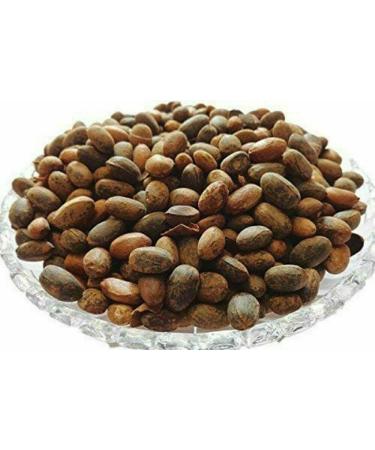 Jamalgota/Croton Tiglium/Jayaphala/Jamalghota/Nepala/Nervalam/Purging Croton/Japalbij/Japolota/Narchalam/Nepalamu/ - by pharmacylife (100GM)