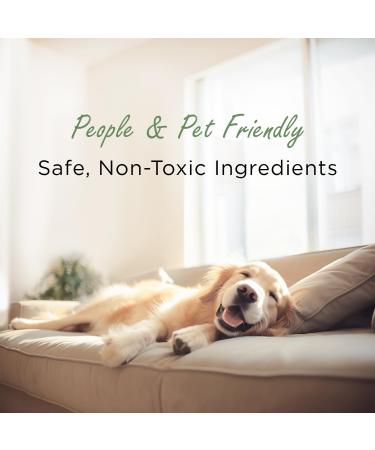 Moso Natural Air Purification Bag - 200g (Pack of 3) | Odorless Odor Absorber for Cars Cupboards & Pet Areas | Premium Bamboo Charcoal - 2 Years of Freshness - Buy Online on GoSupps.com