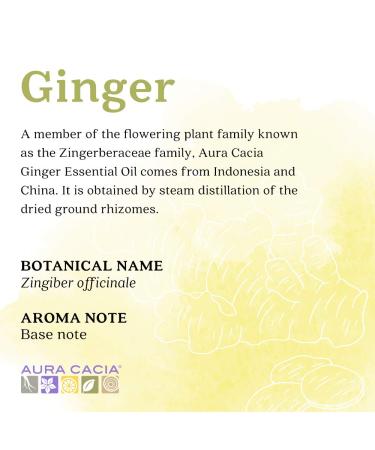 Aura Cacia Ginger Essential Oil - GC/MS Tested Purity | 15ml | Premium Quality International Shipping - Buy Online on GoSupps.com