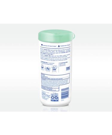 Wet Ones Sensitive Skin Hand Wipes - 40 Count Canister | Gentle Cleansing Wipes for Sensitive Hands - Buy Online on GoSupps.com