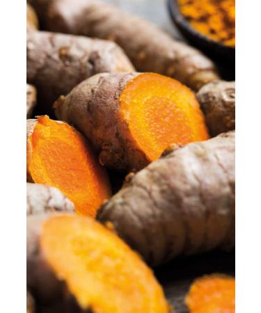 Khadi Shatavari Everyoung Ayurvedic Elixir - Anti-Aging Skin & Soul Oil | 100% Natural Vegan 100ml - Buy Online on GoSupps.com