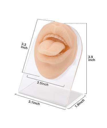 SimCoach Soft Silicone Tongue & Mouth Model | Piercing Practice Body Parts with Acrylic Stand | Jewelry Display Mold - Buy Online on GoSupps.com