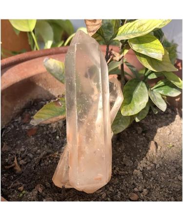 Natural Stone Garden Room Decoration | Healthy Aura | International Shipping | One Size - Buy Online on GoSupps.com