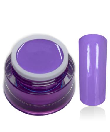 Color Gel Purple Kiss Purple Uv Led Nail Gel Studio Quality Color Gel RM Beautynails 1 Pack (1x 5ml)