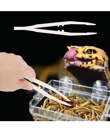 Viagasafamido 18cm Plastic Anti-Slide Reptile Feeder Tweezers | Perfect Tool for Amphibians & Terrariums - Buy Online on GoSupps.com