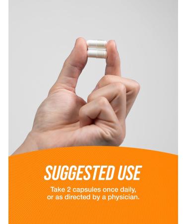 Buy BulkSupplements Acetyl L-Carnitine Capsules 1500mg - Gluten Free ALCAR HCl Supplement - 240 Count 2 Capsules/Serving - International Shipping Available - Buy Online on GoSupps.com