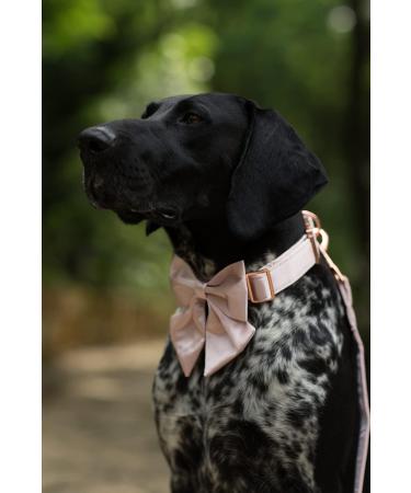 Lionet Paws Silk Dog Collar with Removable Fly - Comfortable XS Collar for Puppies & Cats Neck 20-30cm Pink - 1 Pack - Buy Online on GoSupps.com