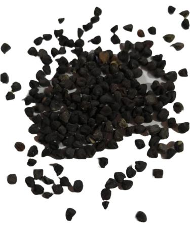 TOYHEART 300pcs Premium Fruit Seeds Easy Care Curry Seeds High Germination Green Indoor Plant Seeds Home Decor Curry Seeds - Buy Online on GoSupps.com