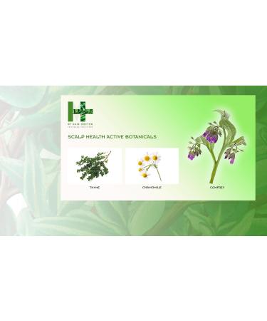  MY HAIR DOCTOR MY HAIR DOCTOR | Scalp Health Collection | Repairing Shampoo (250 ml) Renewing Conditioner (200 ml) Scalp Scrub (150 ml) and Soothing Scalp Spray (150 ml) - Buy Online on GoSupps.com