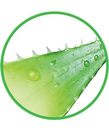 Qukaim Skin Care Aloe Vera Gel Aloe Vera Gel Hydrating Soothing Cream 10.6oz for Home Beauty Salon - Buy Online on GoSupps.com