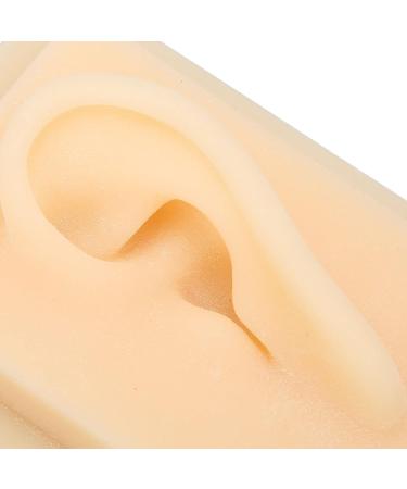Natural Size Silicone Ear Model for Teaching - Left & Right Human Ear Models | Angrek - Buy Online on GoSupps.com