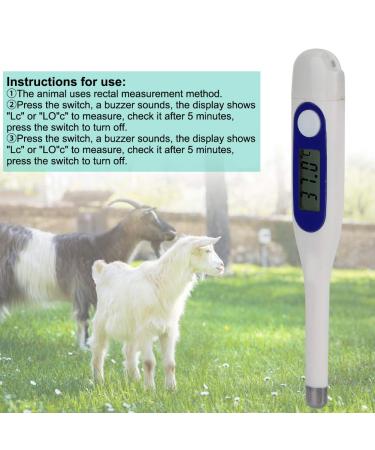 MOKT Veterinary Thermometer Professional Compact Pet Thermometer Durable for Pigs Dogs Cattle  - Buy Online on GoSupps.com