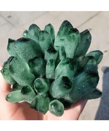 Home 300g-700g Natural Green Ghost Phantom Quartz Crystal Cluster Specimen Home Decoration Crystal Ornament Crystal Cluster (Size : 300g-400g) - Buy Online on GoSupps.com