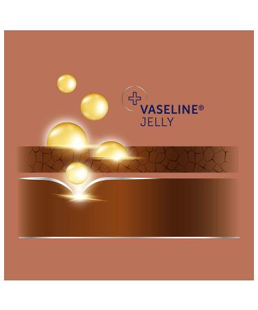 Vaseline Intensive Care Cocoa Radiant Spray Moisturizer - 6.5 oz (Pack of 2) | 24-Hour Hydration | Easy Application - Buy Online on GoSupps.com