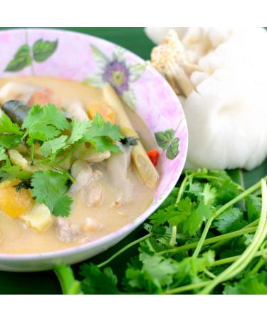 THE SPICED WAY -Galanga Powder -100g- Exotic Spice - Enhance Your Asian Dishes - Buy Online on GoSupps.com