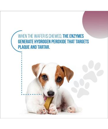 Revive Active - Enzymatic Dental Wafers for Medium-Large Dogs 14ct Prevents Plaque and Tartar Antiseptic Reduces Bacteria Improves Hygiene Oral of your Dog. - Buy Online on GoSupps.com