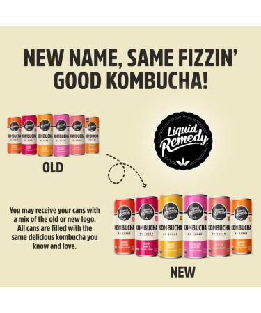 Remedy Kombucha Sugar Free Organic Drink - Variety Pack - Pack of 24 - 8.5 Fl Oz. - Buy Online on GoSupps.com
