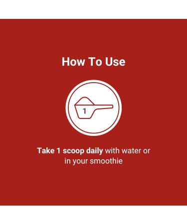 ACTIVATEDYOU Daily Digestive Tonic Kombucha - Support Healthy Digestion & Youthful, Long-Lasting Energy- Prebiotic Fiber, Probiotics, Postbiotics, Vitamin C, Berry Lemonade Flavor (30 Servings) - Buy Online on GoSupps.com