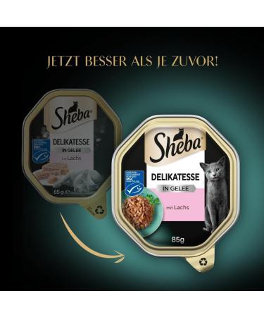 Premium Sheba Delicacy in Jelly - High-Quality Salmon Cat Wet Food - 22 x 85g - International Shipping Available - Buy Online on GoSupps.com