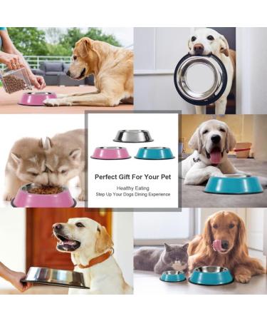 WERFORU 2 Pieces Dog Bowls Stainless Steel Dog Cat Bowls Pet Bowls For Feeding Water and Food Pink Medium Size M (2 Count) A-pink - Buy Online on GoSupps.com