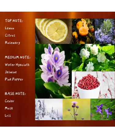 Classic Citrus Lemon Floral Perfumes 50 Ml Blending Notes Cedar Musk Jasmine Fruity Body Spray Eau De Toilette for Women Men - Buy Online on GoSupps.com