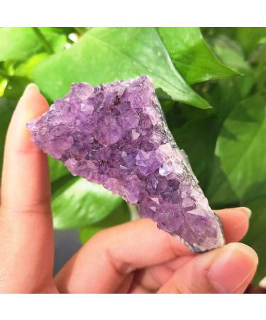 Natural Amethyst Cluster Crystal Cluster Quartz Crystal Stone Natural Luster (Size : 200-230g) - Buy Online on GoSupps.com