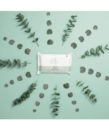 Na f Plastic-Free Wet Wipes - 864 Pieces for Baby & Face | 99% Water | Alcohol & Perfume Free | Sustainable Eucalyptus Fibers - Buy Online on GoSupps.com