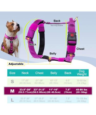 Buy Tspro Tactical Dog Base with Handle - Military Quality Padded & Robust Quick-Release - Medium Black Dog Gear (20-36 kg) - Buy Online on GoSupps.com