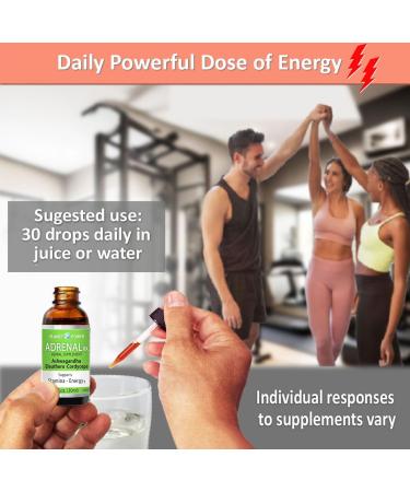 Adrenal Daily Liquid Drops. Supports Wellness & Energy. Supplement with Adaptogenic Herbs Ashwagandha Eleuthero Rhodiola & Cordyceps - Buy Online on GoSupps.com
