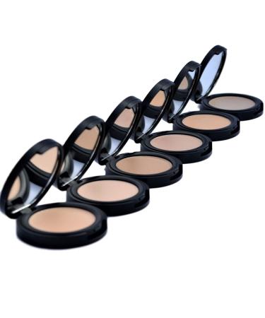 Harvest Natural Beauty- 100% Natural and Certified Organic Concealer - Color Adjusting and Skin Healing - Non-Toxic  Vegan and Cruelty Free (Fresh)