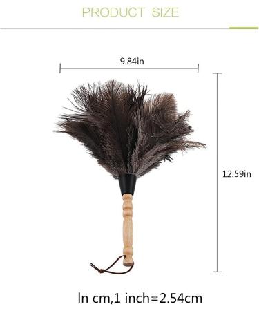 FCSHFC Natural Ostrich Feather Duster 2 Pcs Dusters for Cleaning Soft and Fluffy Duster for Interior Exterior Office Blinds Cleaner Brown - Buy Online on GoSupps.com